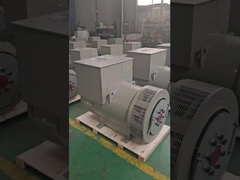 Générateur à courant alternatif sans balai de 3 phases de 10 à 1000 kW de classe H