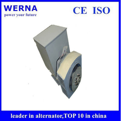 acheter Three-Phase Induction Generators Low THF and Copper Winding Material for Sustainable Power Generation online manufacture