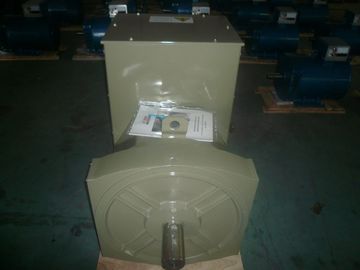 acheter alternateur d'incidence du double 300KW avec le monophasé à C.A. de la première classe AVR IP22 online manufacture