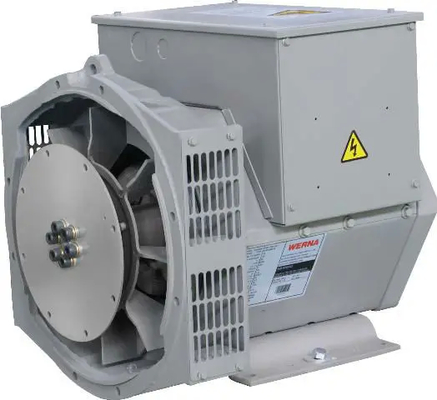 Générateur à courant alternatif monophasé puissant de 2,2 kW pour diverses applications