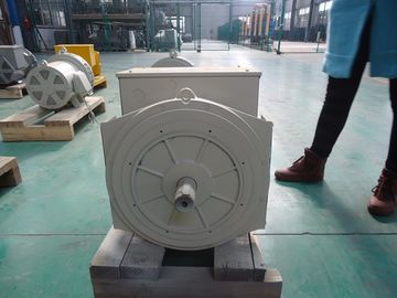 110V | double alternateur sans brosse synchrone d'incidence 690V 40kw/50kva