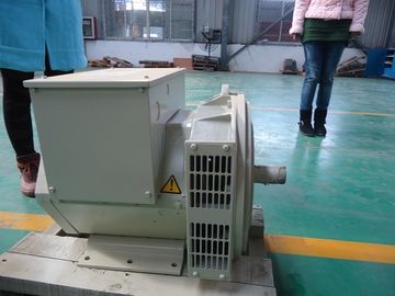Générateur sans brosse de double alternateur autoexcité d'incidence 200kw/250kva