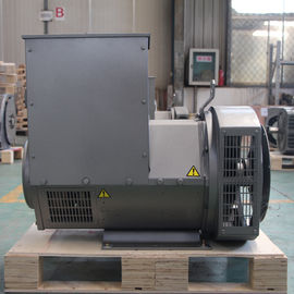 Générateur CA Résidentiel portatif de diesel de 20kw 50hz 110 - 240V SX460 AVR
